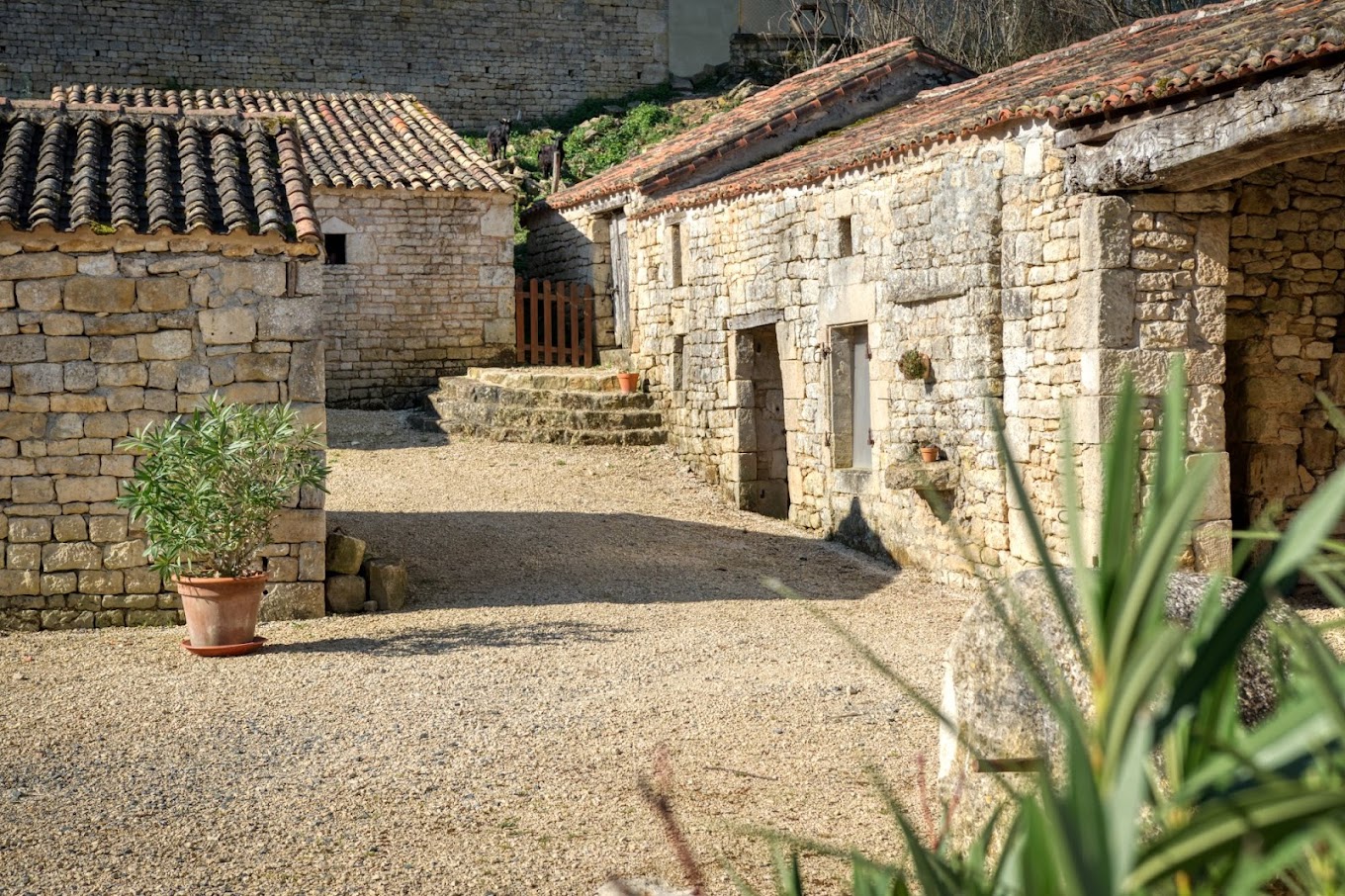 Location de salle - Le Grand Châtelier — photo 3