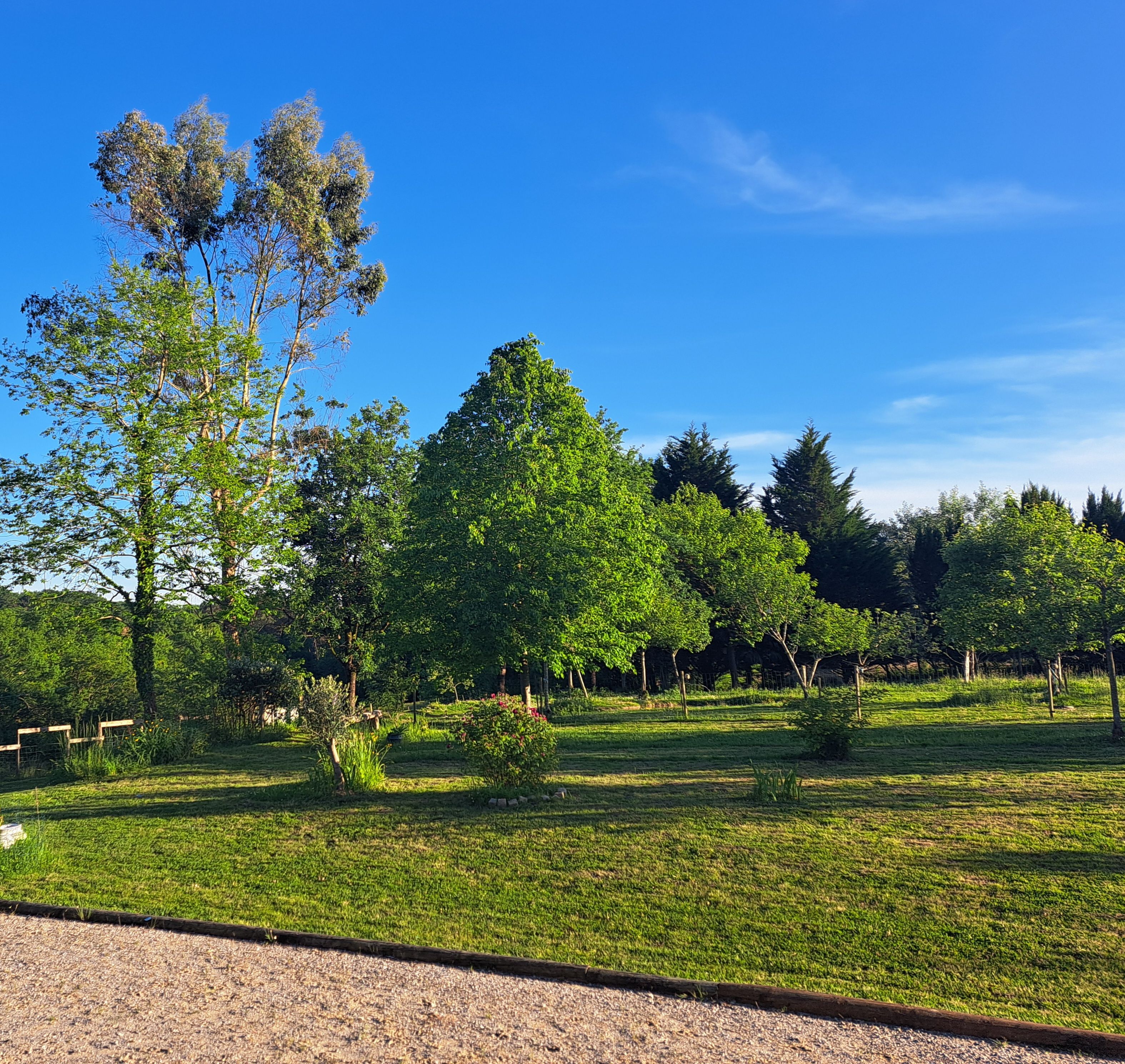 Entre Adour et Montagne, Pouillon - photo 5