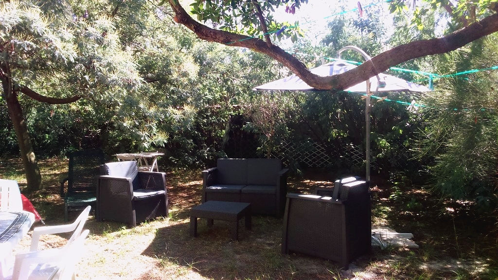 Jolie maison landaise sous la pinède - photo 4