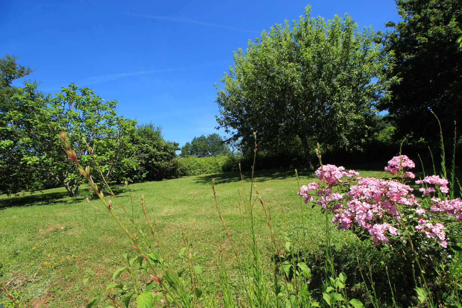 Domaine Lou Peyrol - Gîte Bombay