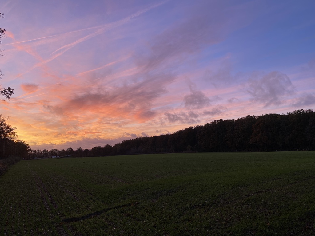Roulotte du Moulin de Verneiges, Verneiges