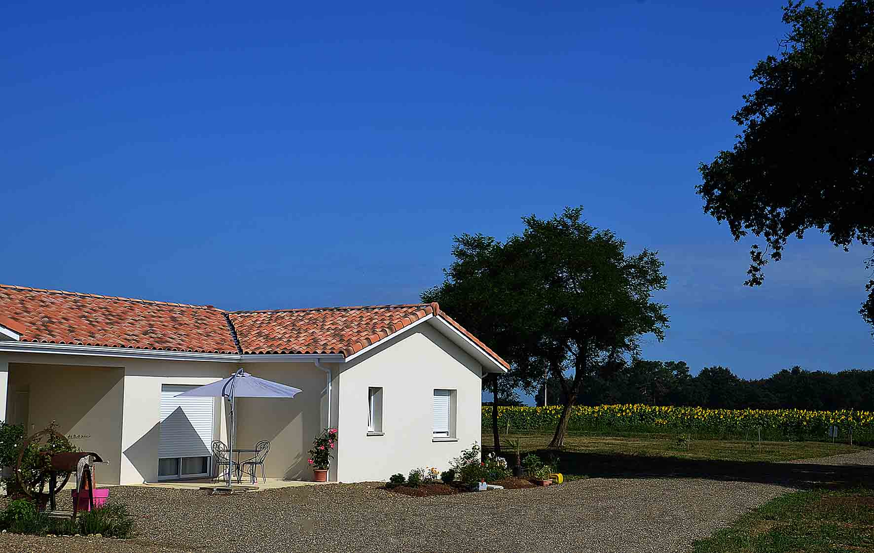 Gîte de Marchaou, Larrivière-Saint-Savin - photo 14