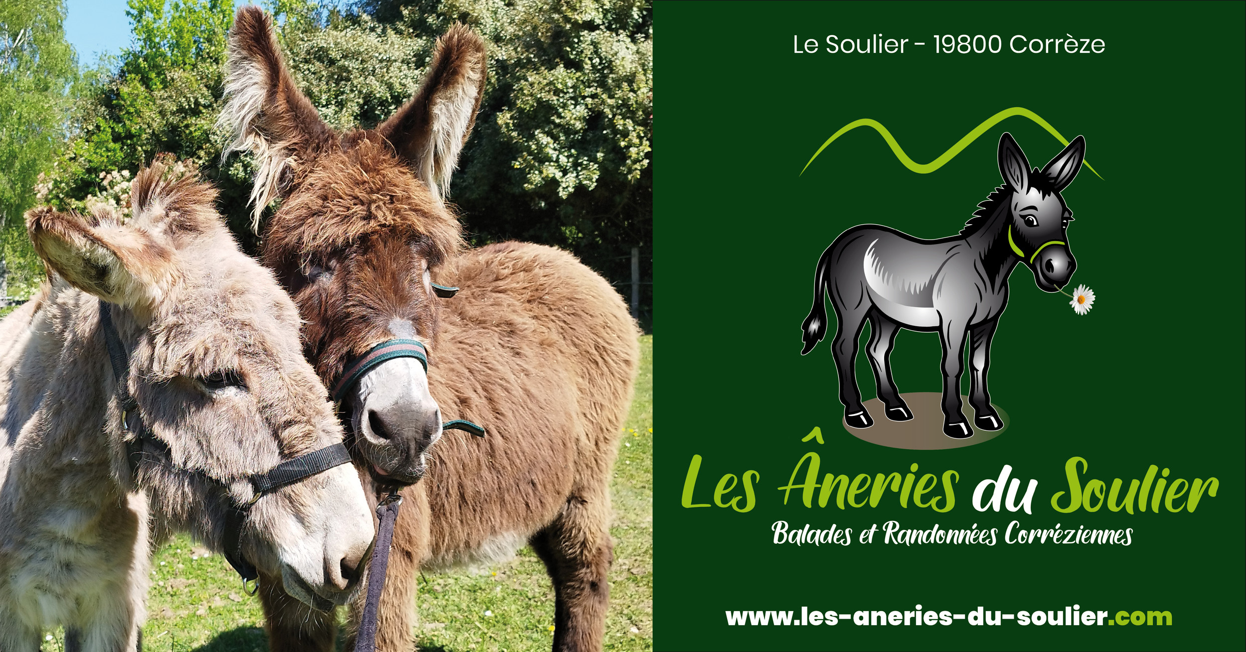 Les âneries du Soulier