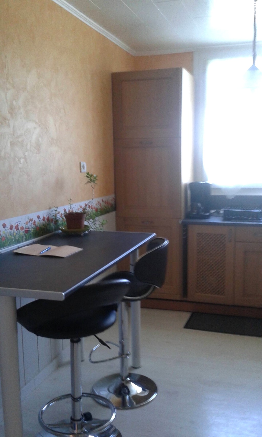 BRAZ MICHEL - appartement Papillon - photo 3