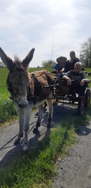 Association les petits ânes Vergt, Saint-Amand-de-Vergt - photo 7