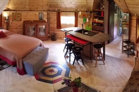 Graines de Nature - Le kota à l'ombre d'Yggdrasil - photo 2