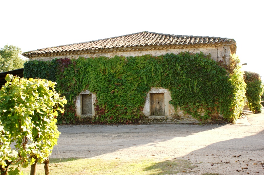 Château La Rame - photo 5