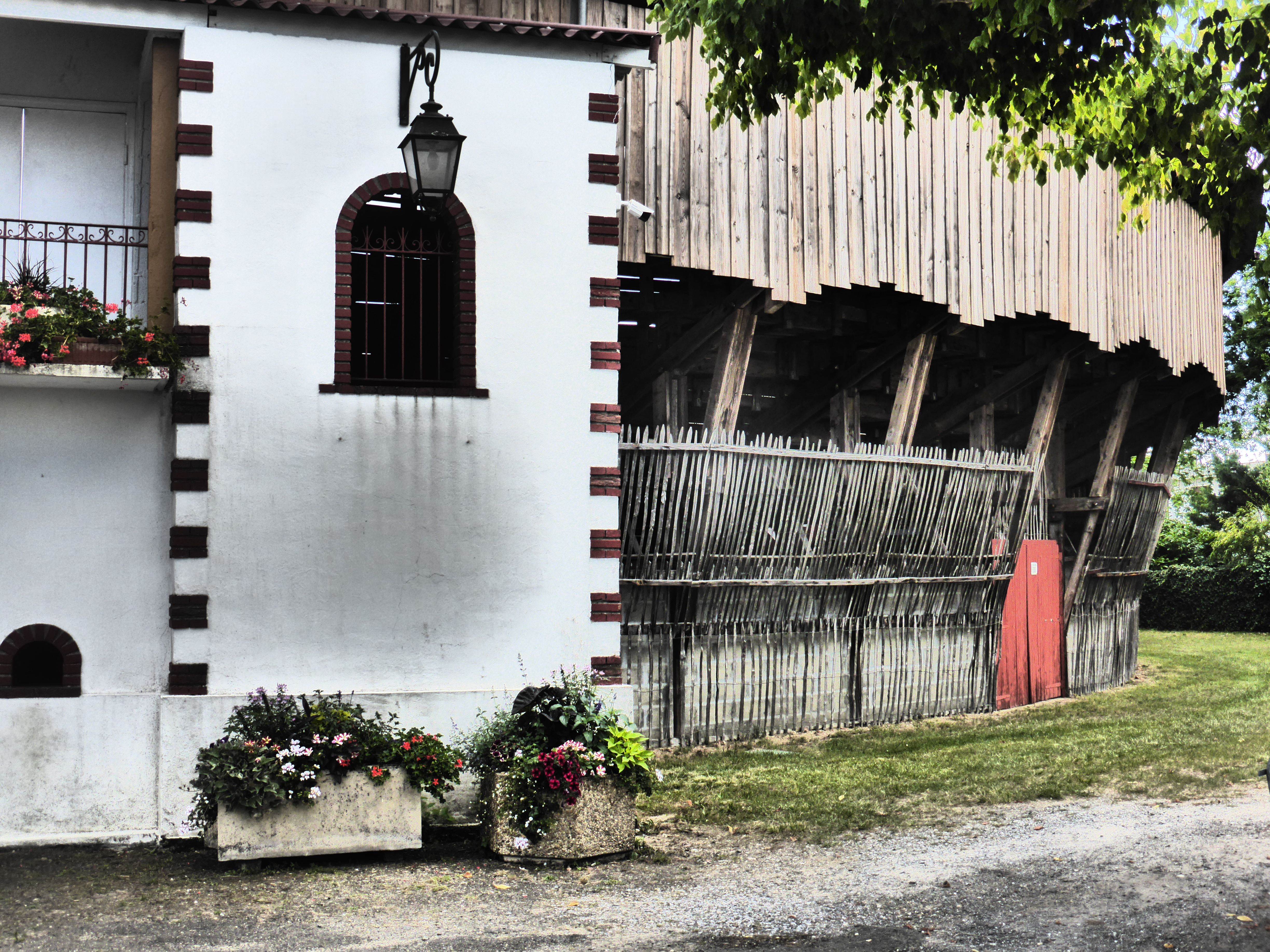Visite commentée de la Monumental des Pins, Roquefort - photo 3