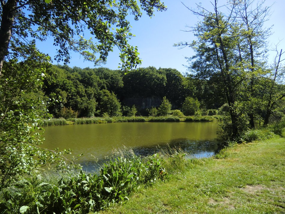 Falaise et Étang du Gué de l'Omme, Nouaillé-Maupertuis - photo 3