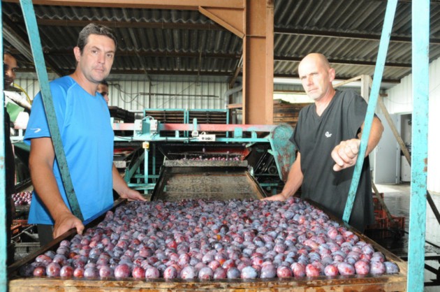 Vergers des 2 Côteaux