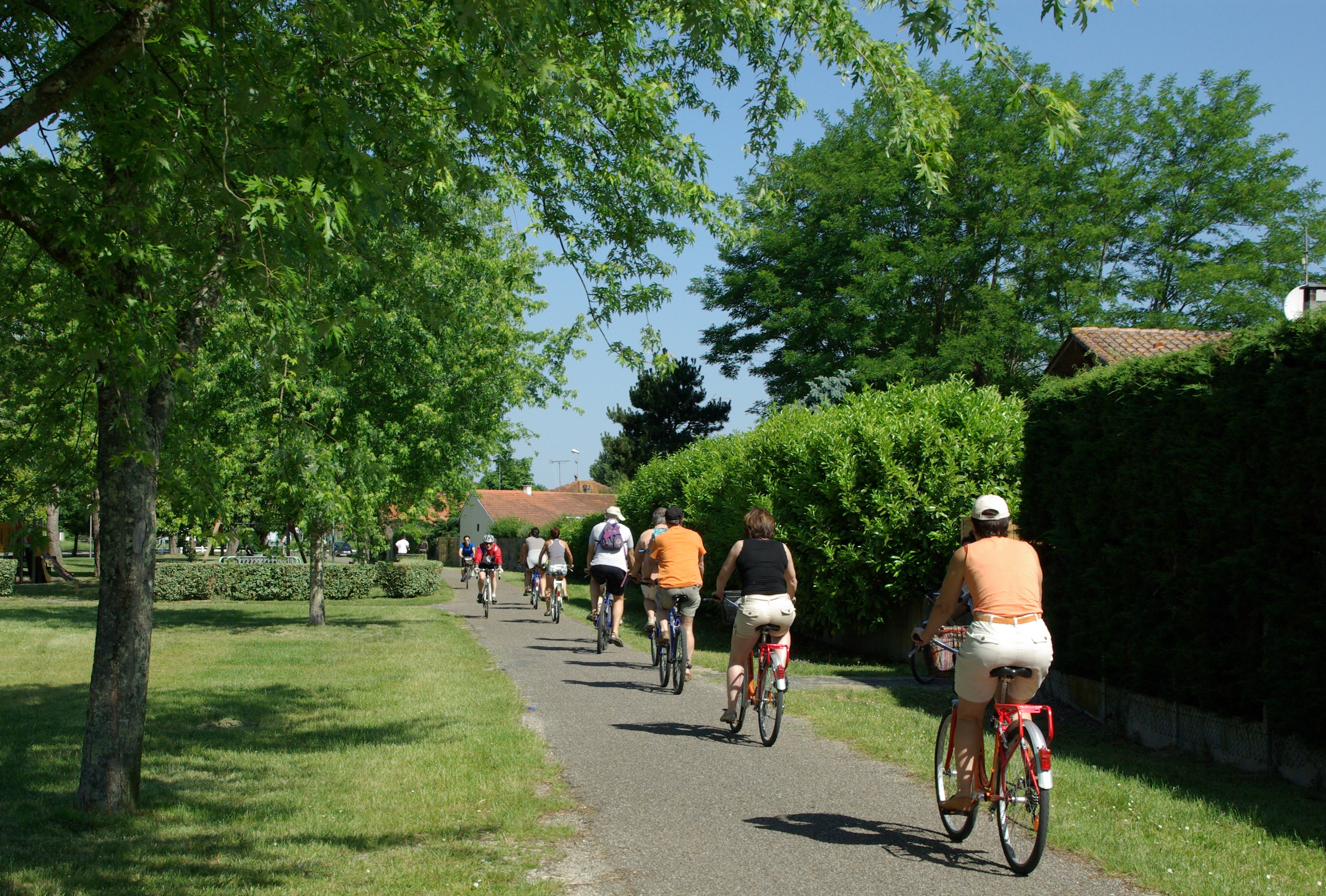 Bike Company 33 - photo 4
