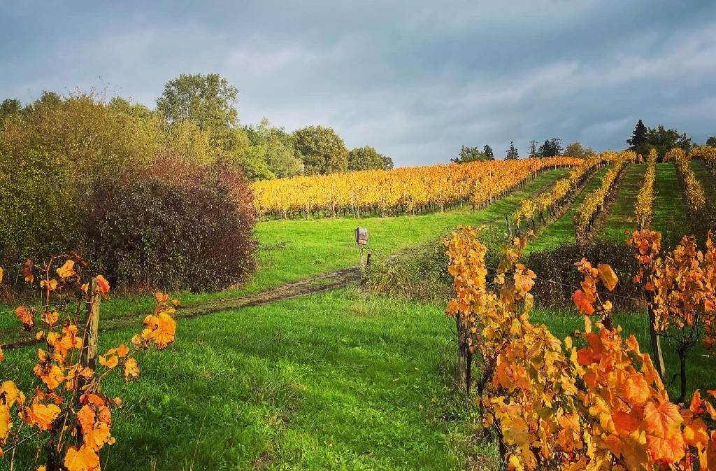 Château Les Farcies du Pech