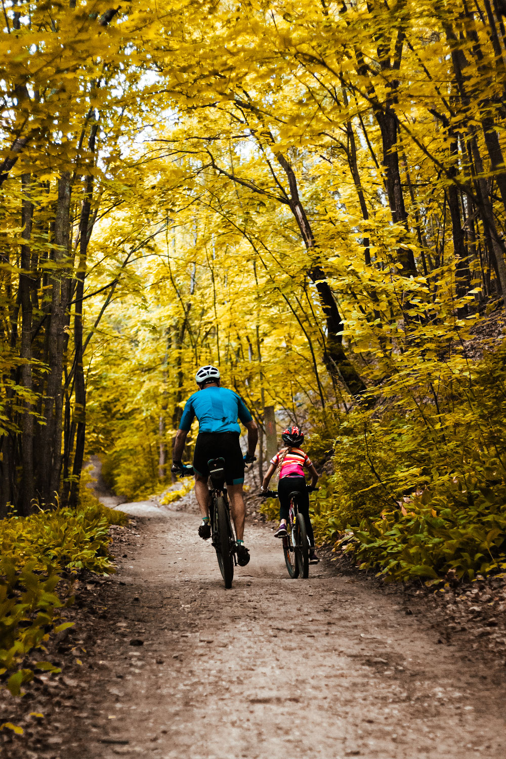 Circuit 29 - Les trésors de Lapleau