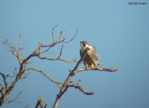 Vallée de Gavaudun - photo 4
