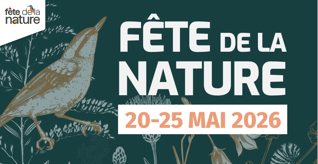 Goûter ludique et artistique autour de la nature — visuel événement