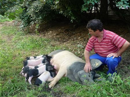 Ferme Arleia