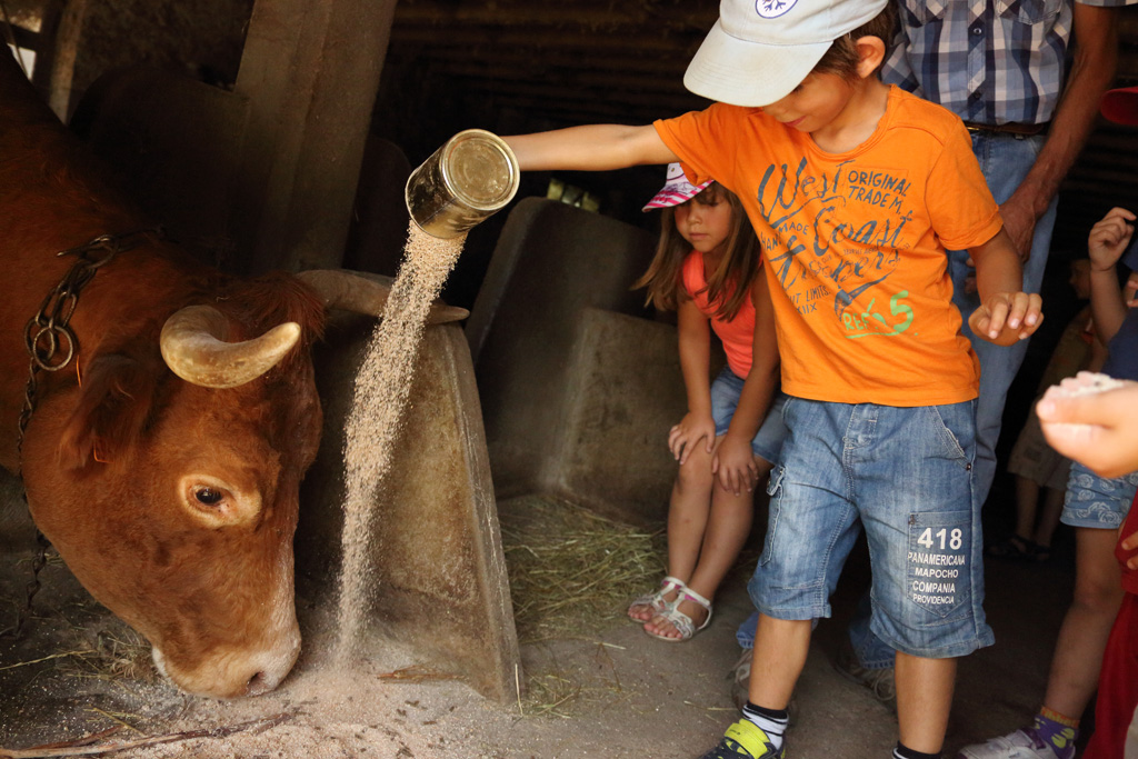 Ferme de Champtiaux, Saint-Ybard - photo 6