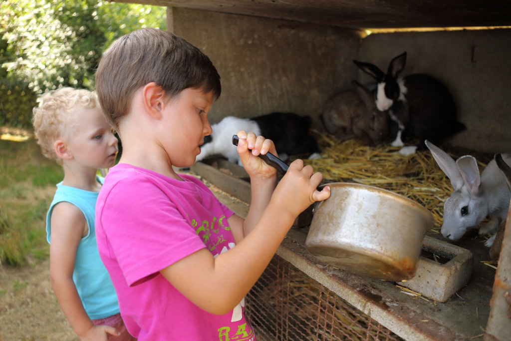 Ferme de Champtiaux, Saint-Ybard - photo 2
