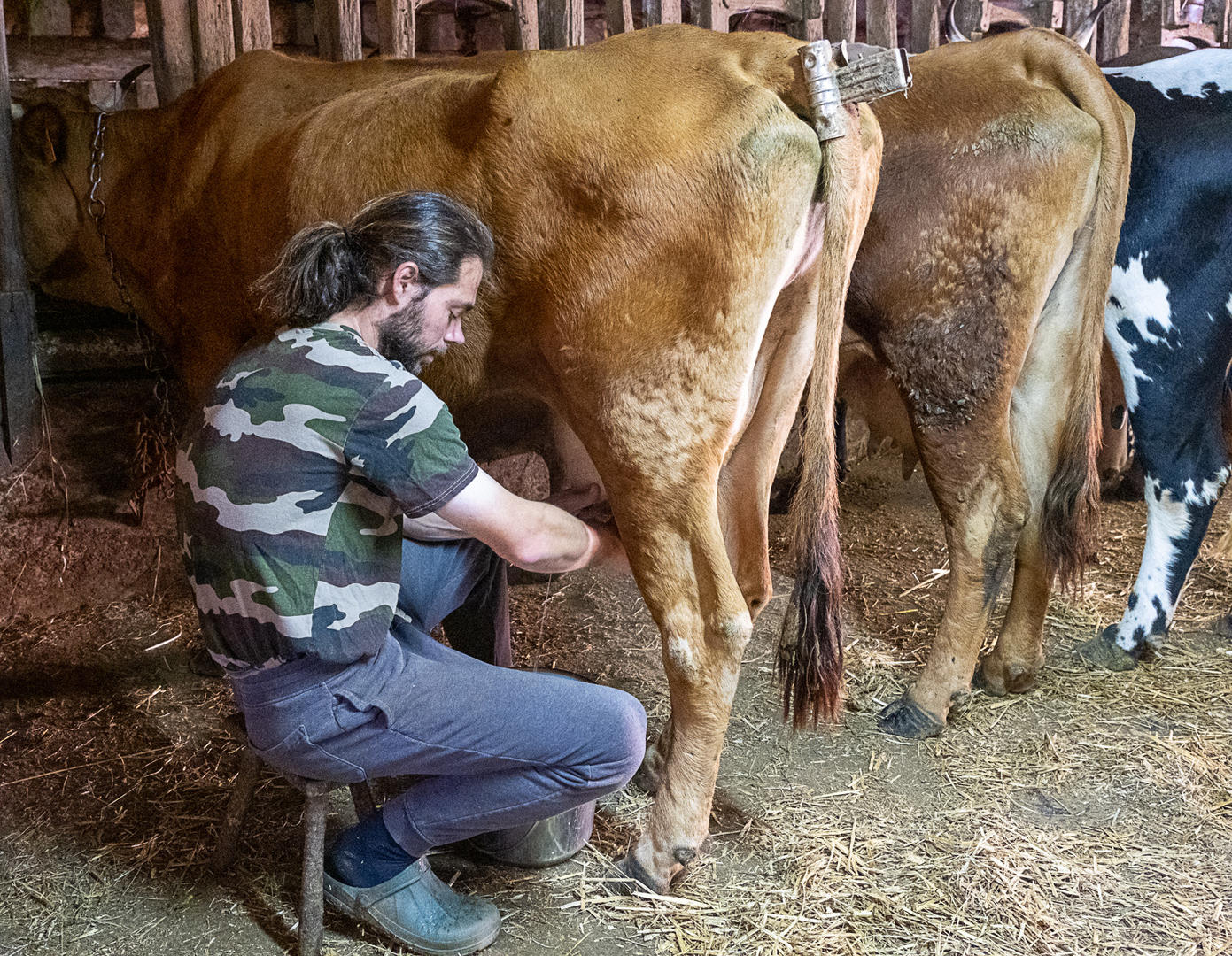 La Ferme de Beausoleil