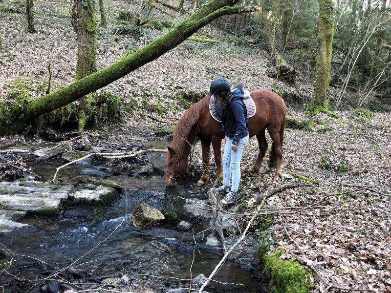 Ferme de découverte de la Tuilière, Nantheuil - photo 5