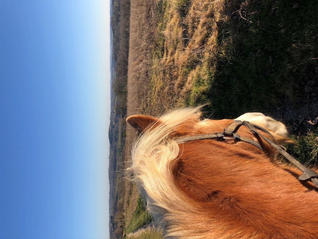 Ferme de découverte de la Tuilière, Nantheuil - photo 3
