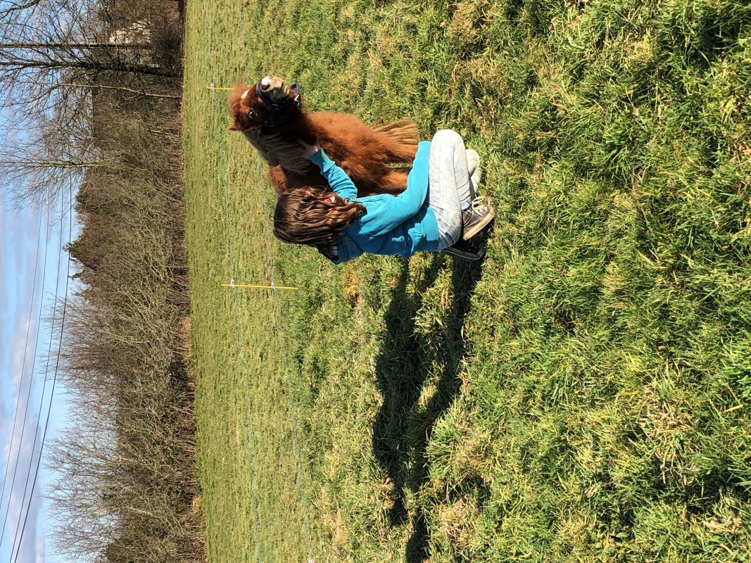 Ferme de découverte de la Tuilière, Nantheuil