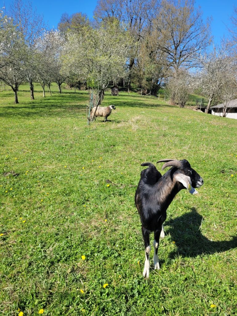 La Ferme de Marie et Jimmy