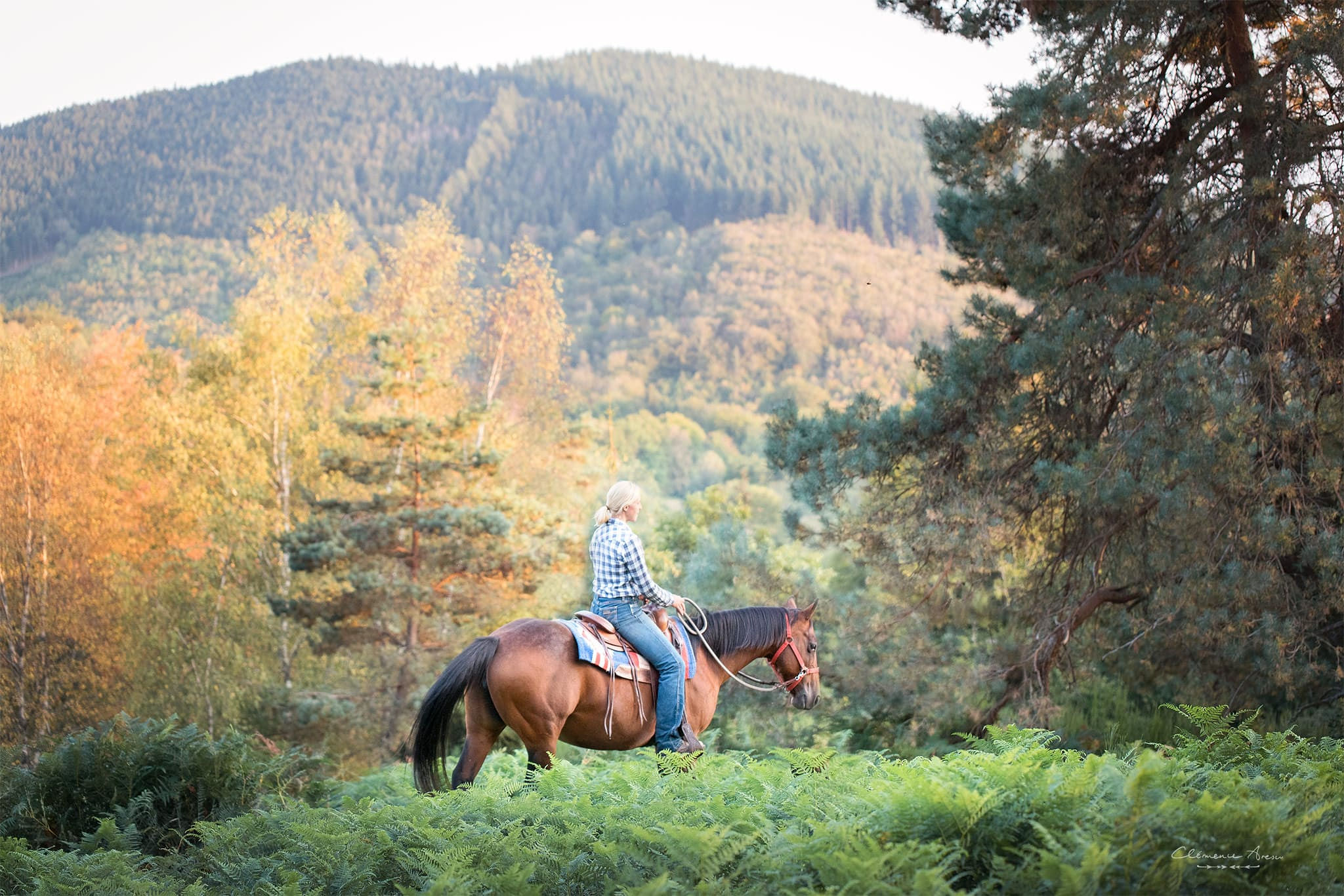 Ferme équestre de Tréphy