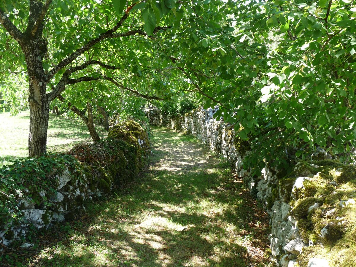 Ferme Camping les Combelles
