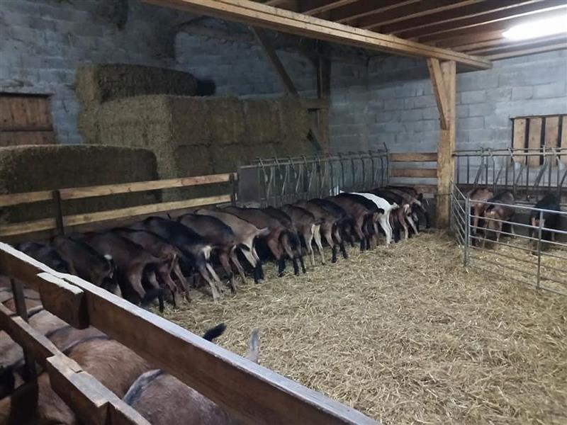 Ferme Mondot