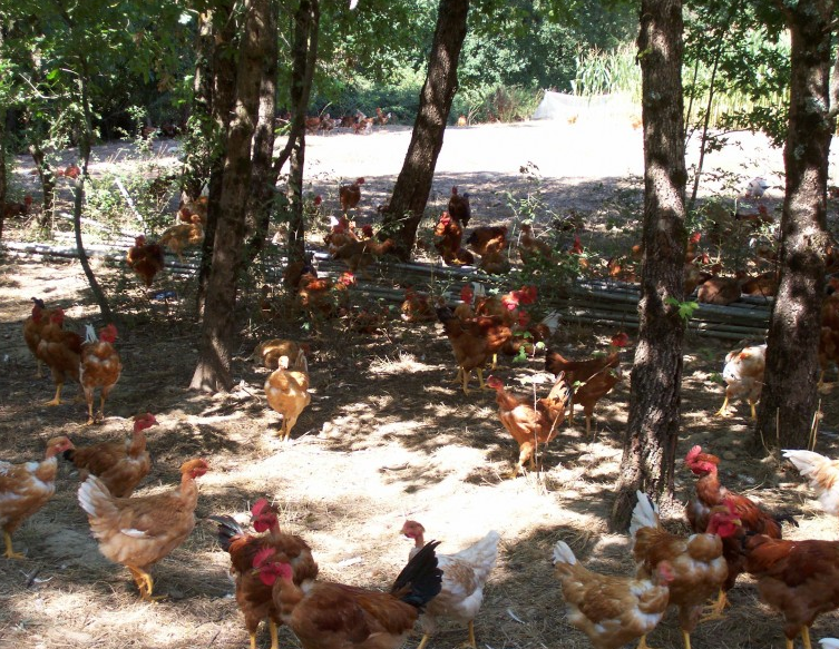 Ferme le Tauzia
