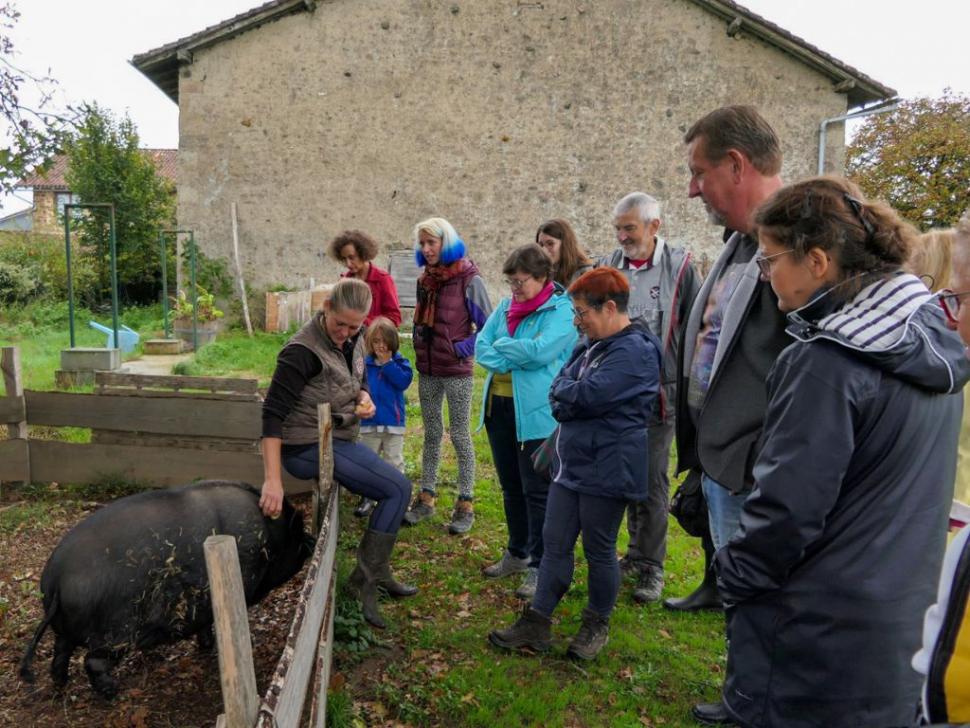 Ferme pédagogique de la Terr'Happy, Rochechouart - photo 3