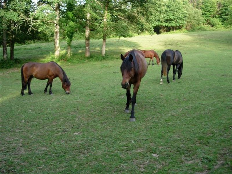 Ferme de Grand Jean - photo 5
