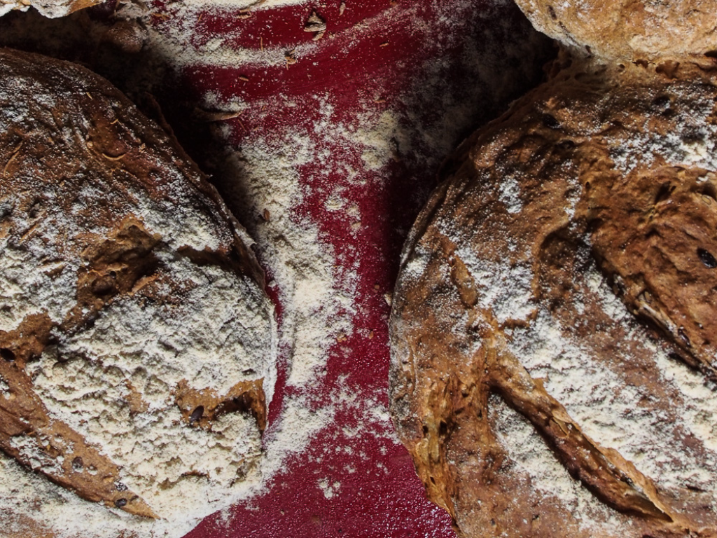 Chambres La ferme des simples, Vayres - photo 4