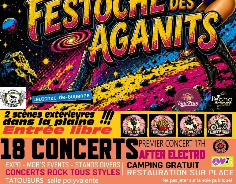 Le Festoche des Aganit's, Lévignac-de-Guyenne - photo 3
