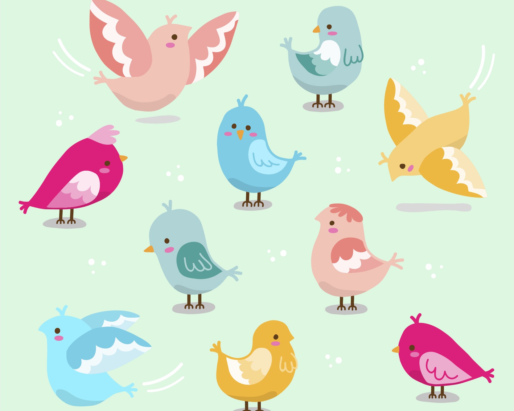 Fête de la Nature - Jeu d'observation des oiseaux — visuel événement