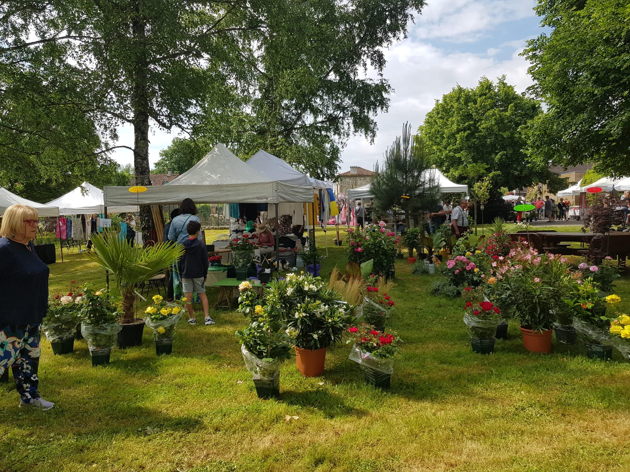 Fête de la Rose - photo 4