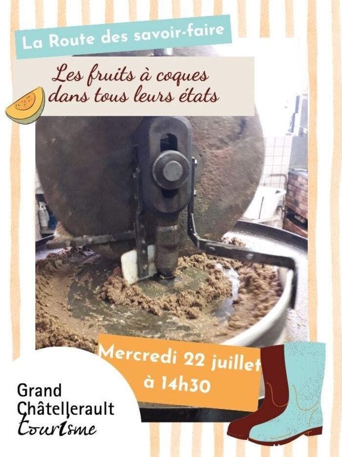 Les fruits à coques dans tous leurs états !