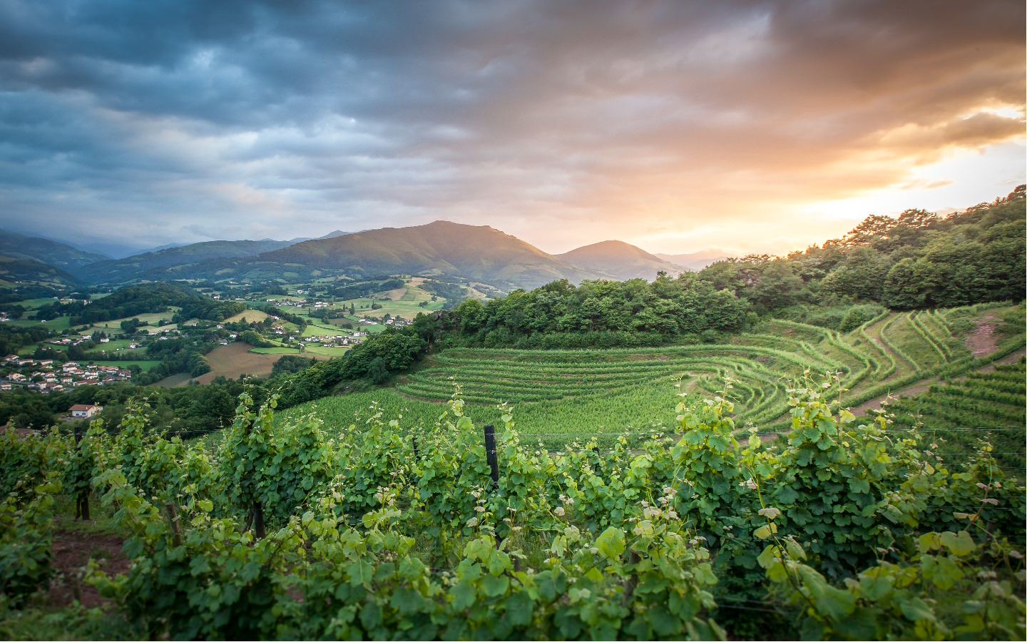 Fêtes de village : hypnotiseur-Los piquillos-talo, Irouléguy