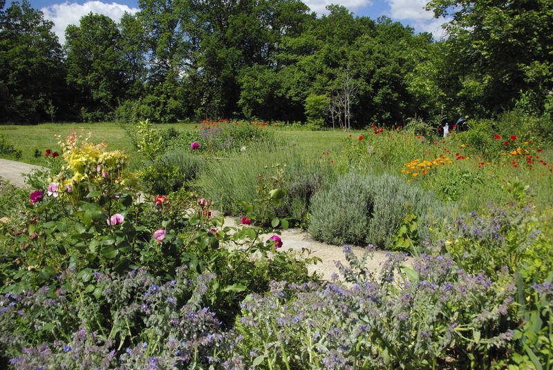 Boucle de la Tour Blanche