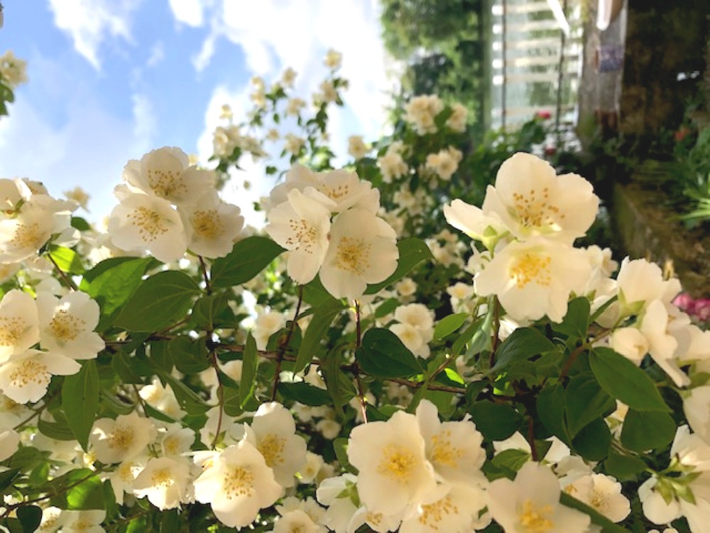 Le Bord'Eau, Fumel - photo 7