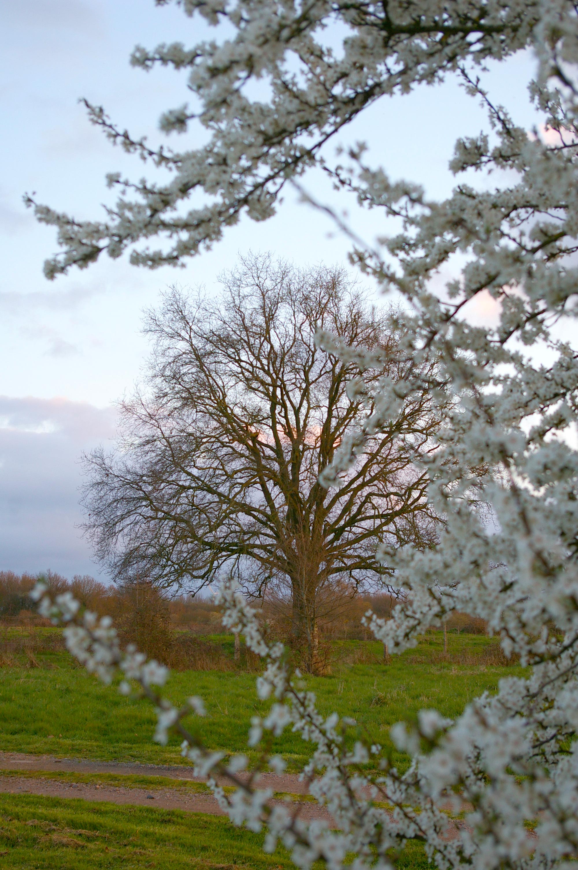 Le Grenier du Logis des Baillargères, Coulonges-Thouarsais - photo 9