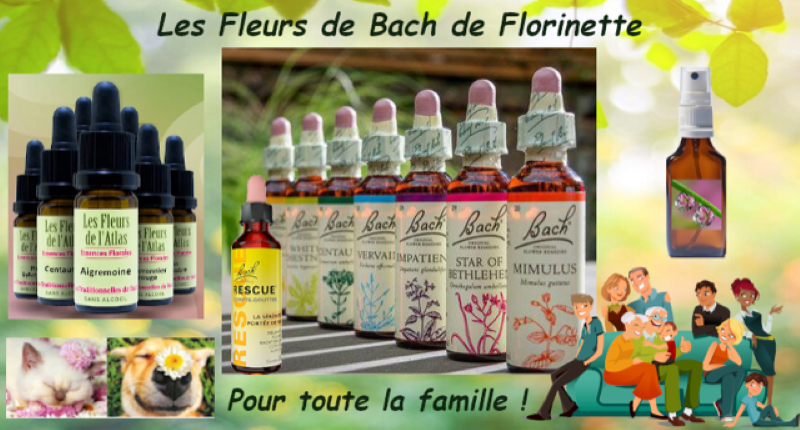 Les Fleurs de Bach de Florinette — photo 2