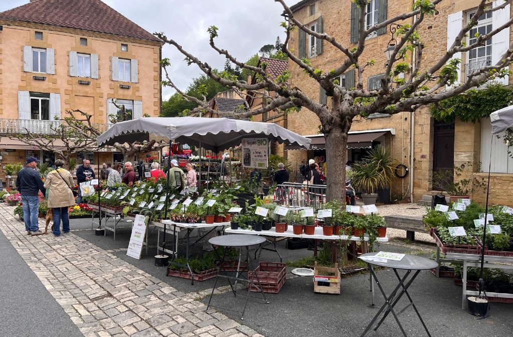 Floralies, Le Buisson-de-Cadouin - photo 6