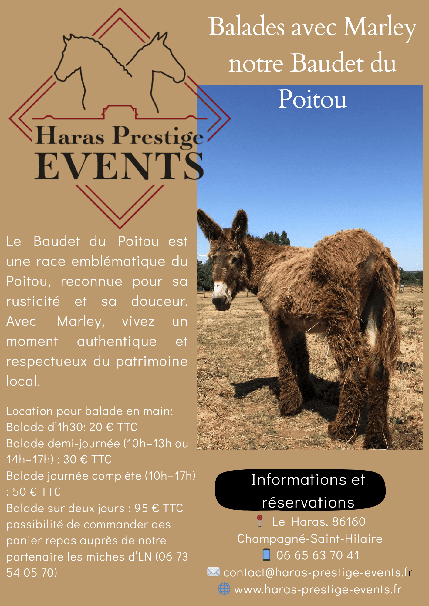 Haras Prestige Events
