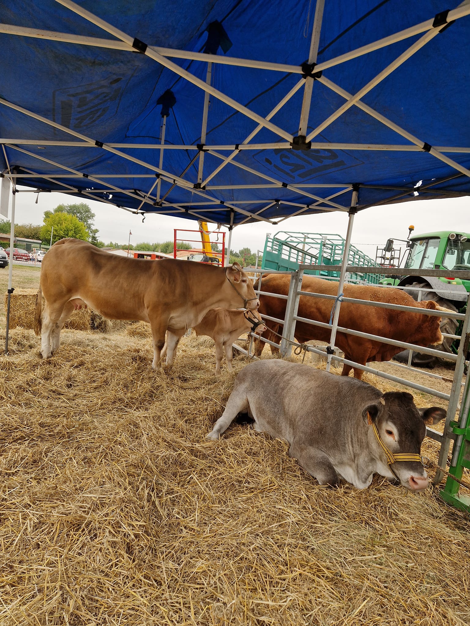Grande Foire Agricole, Gaillan-en-Médoc