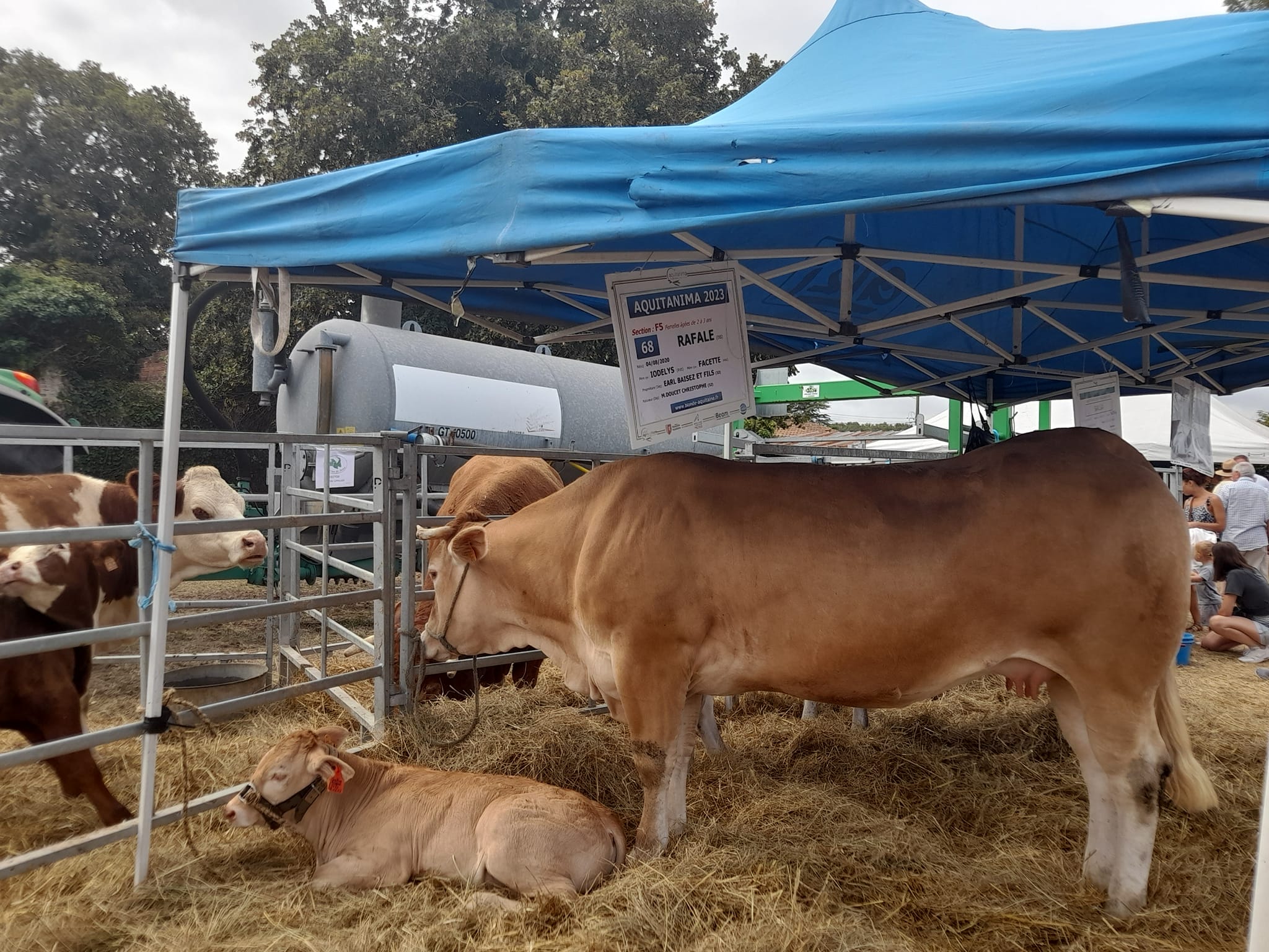 Grande Foire Agricole, Gaillan-en-Médoc - photo 7