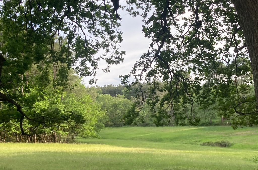 La Réserve - Maison Petit, Église-Neuve-d'Issac - photo 17