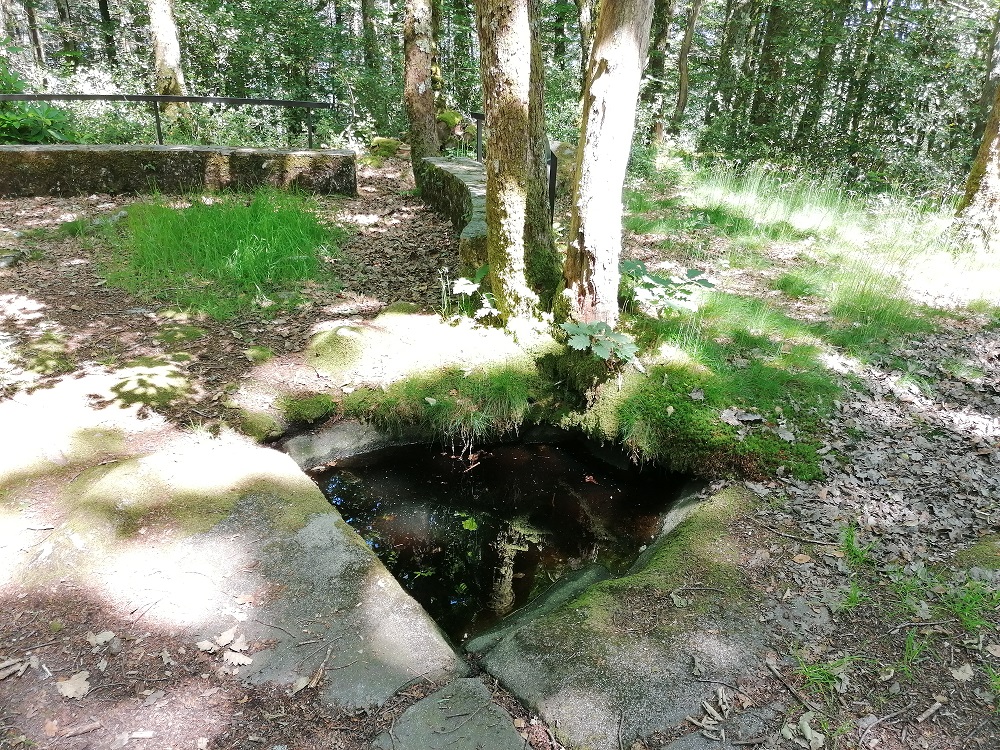 La boucle de Sainte-Geneviève, Saint-Julien-le-Petit - photo 4