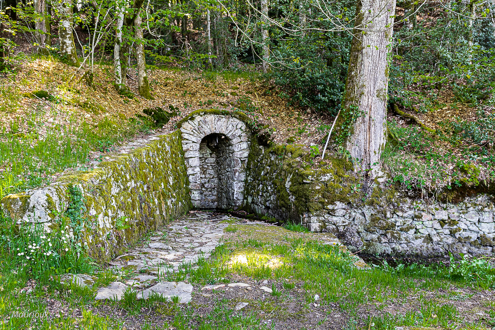 Aux Sources de l'Ardour Boucle Locale 17, Mourioux-Vieilleville